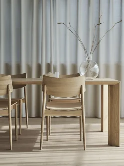 A-DC01 Dining Chair
