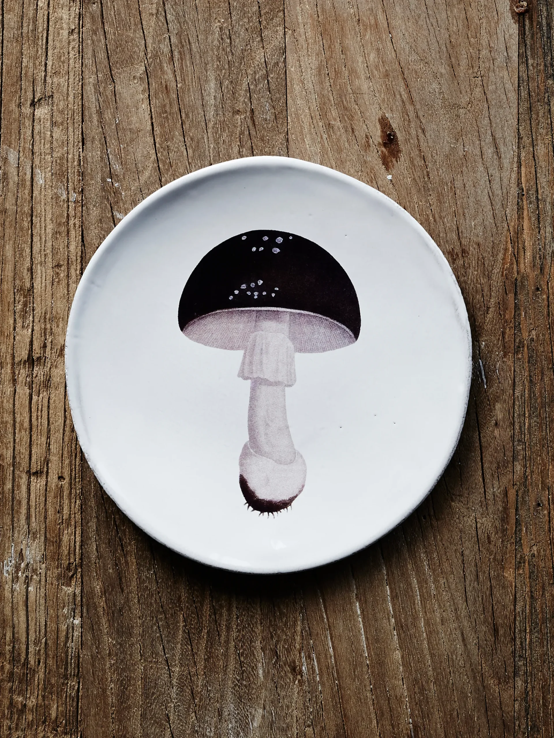 Agaric Fuligineux Dinner Plate