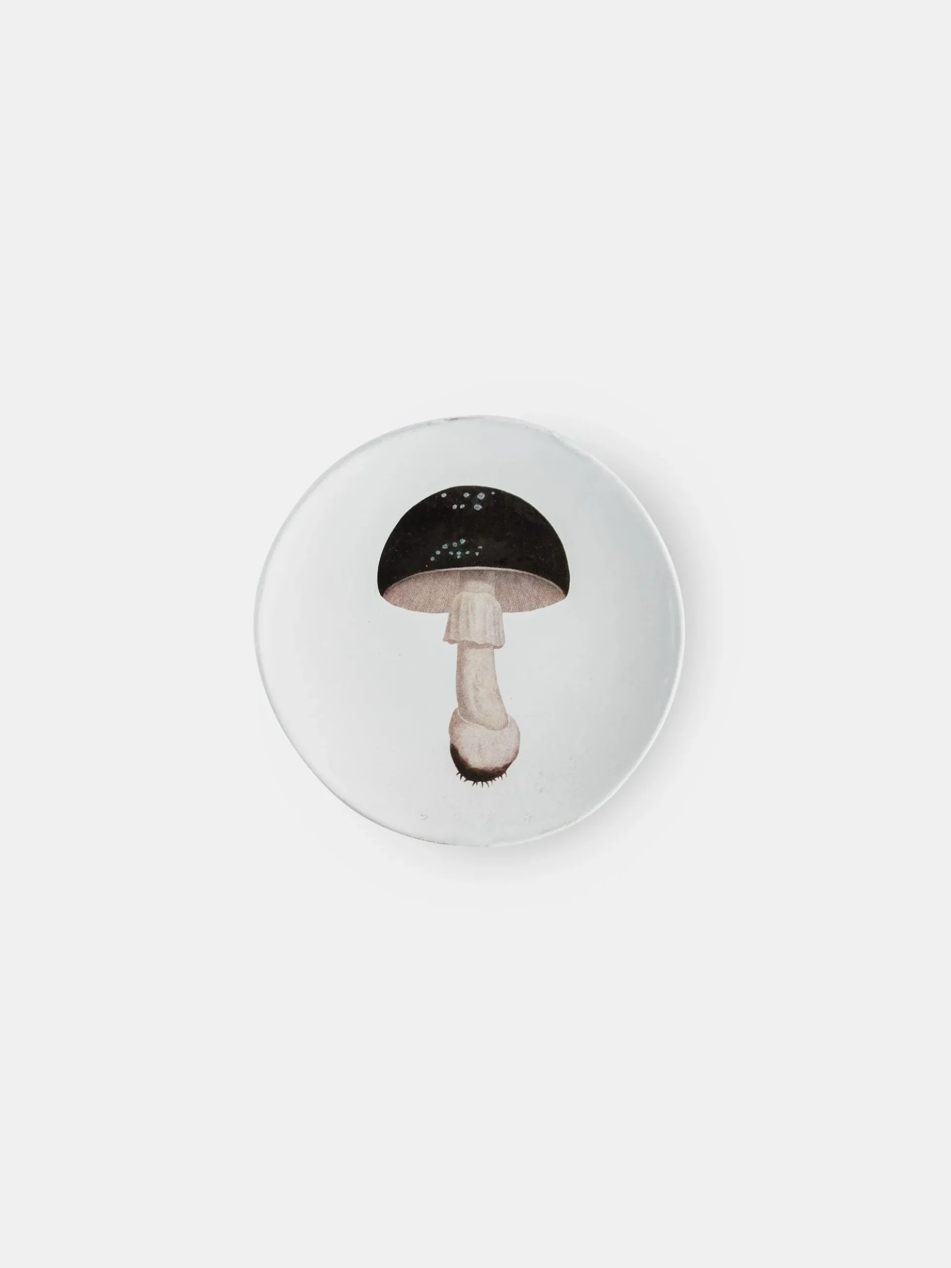 Agaric Fuligineux Dinner Plate