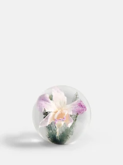 Botanical Paperweight - Orchid