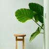 Commune Stool