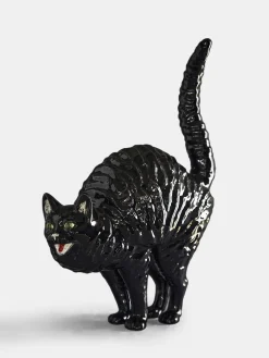 Hissing Cat Gato