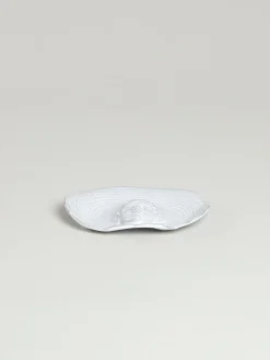 Ivan Dish