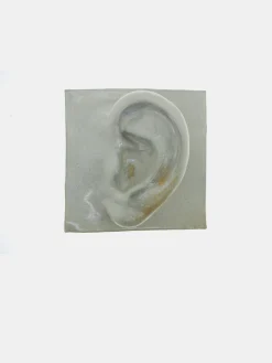 Left Ear - White