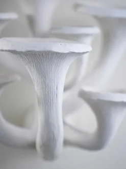 Mushroom Wall Light Small