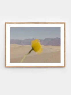 Nicole Mason - Desert Mirage