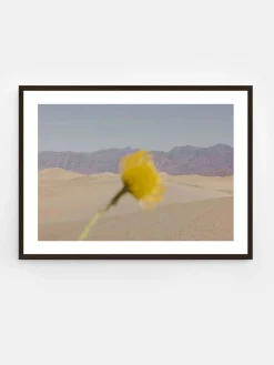 Nicole Mason - Desert Mirage
