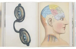 Picture Book