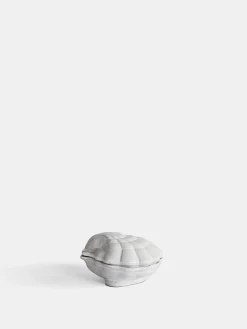 Shell Box