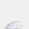 Shell Box